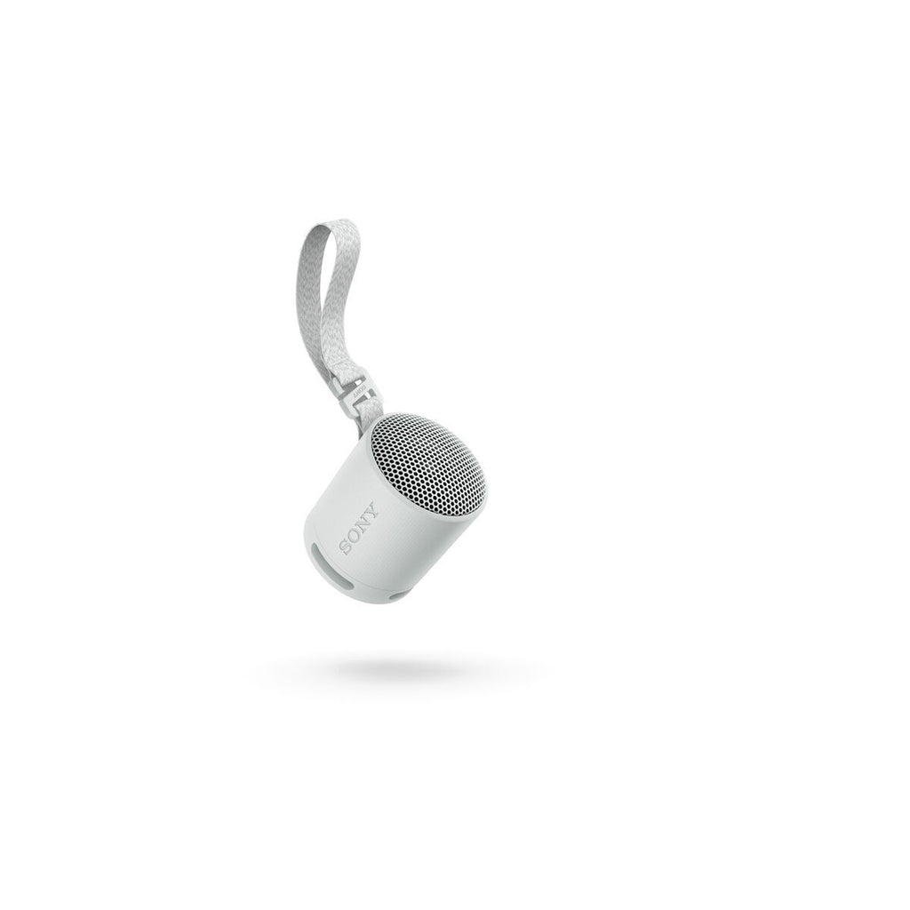 Portable Bluetooth Speakers Sony SRSXB100H.CE7 Grey