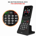 TTfone TT660 Flip Big Button Mobile with Giffgaff SIM, USB C Cable